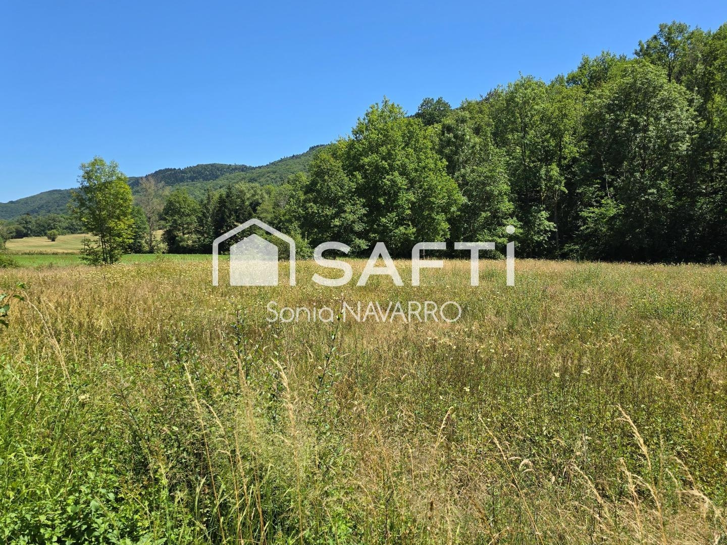 Terrain à vendre - 3002m2 - Bénaix (09300)