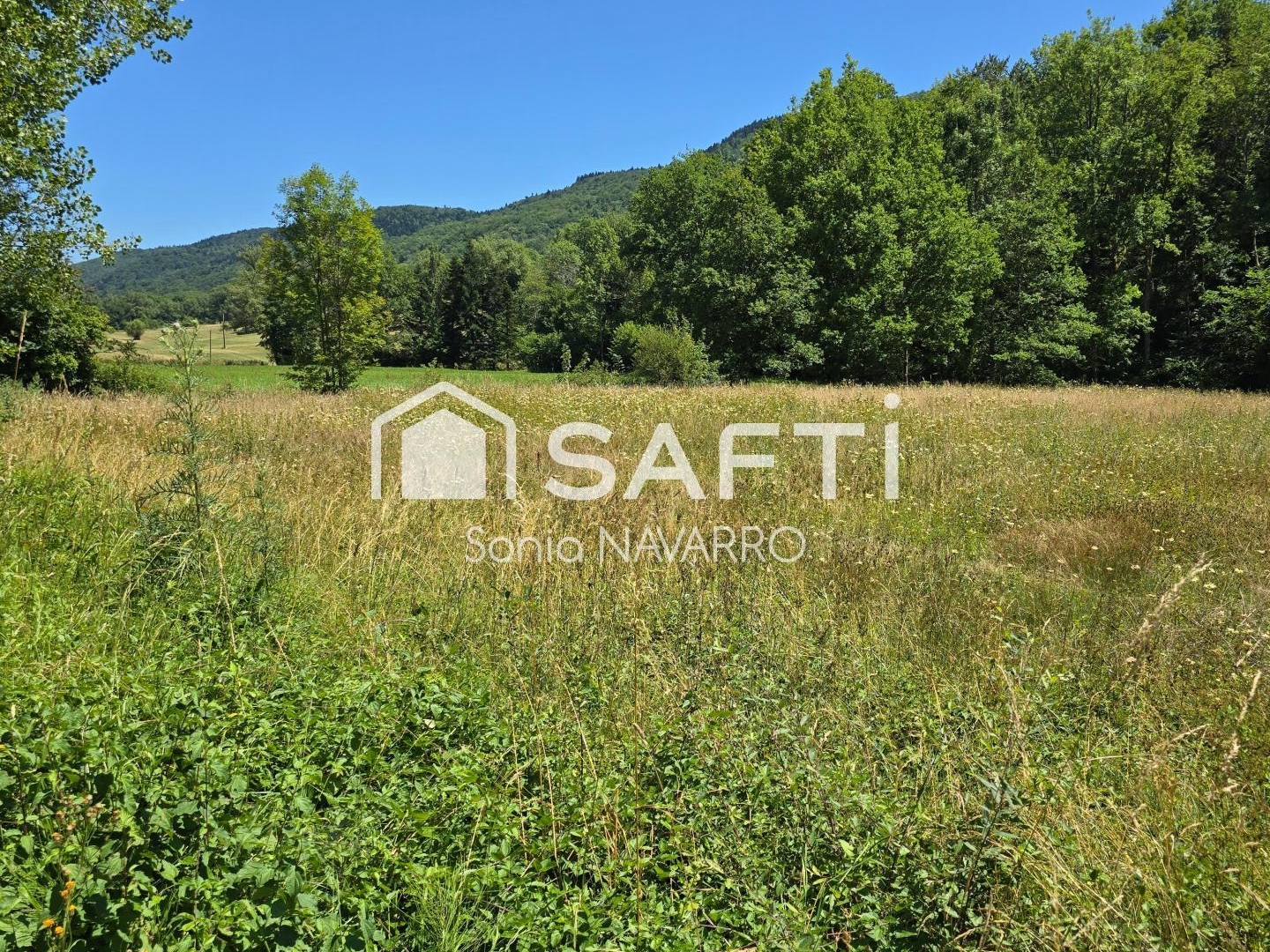 Terrain à vendre - 3002m2 - Bénaix (09300)