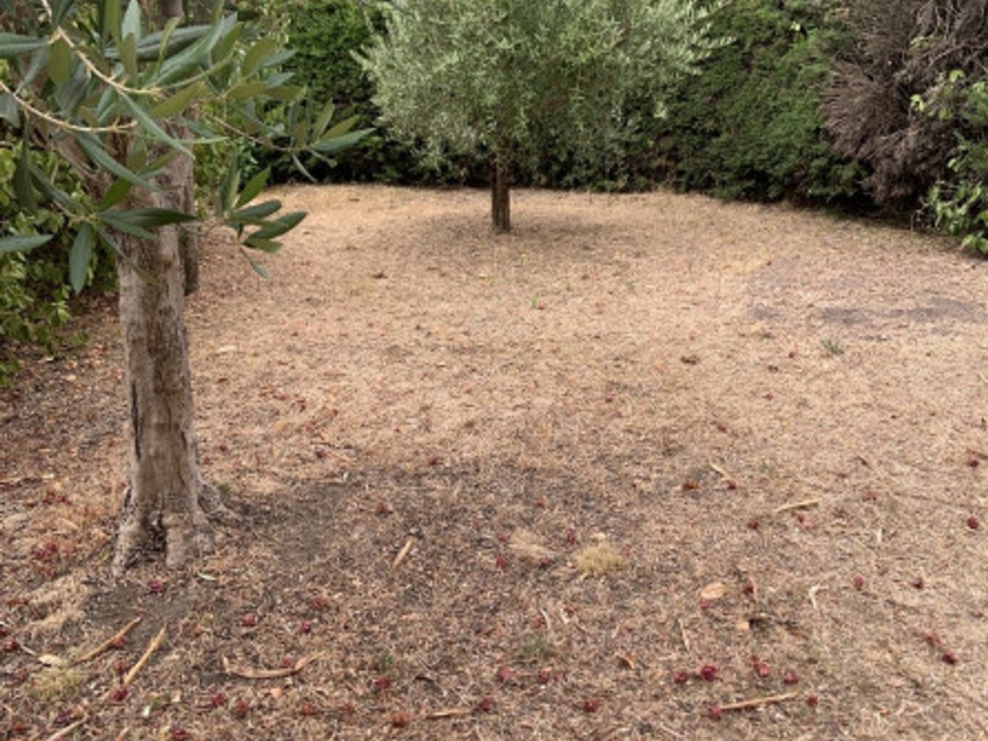 Maison à vendre - 5 pièces - 142m2 - Alès (30100)