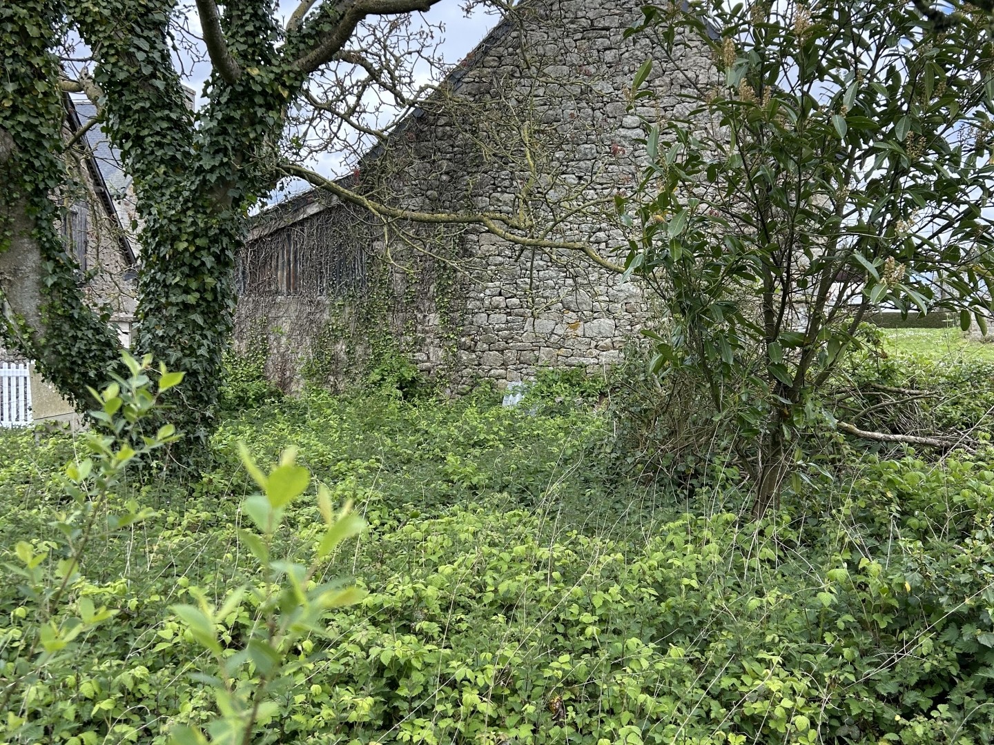 Terrain 558 m²