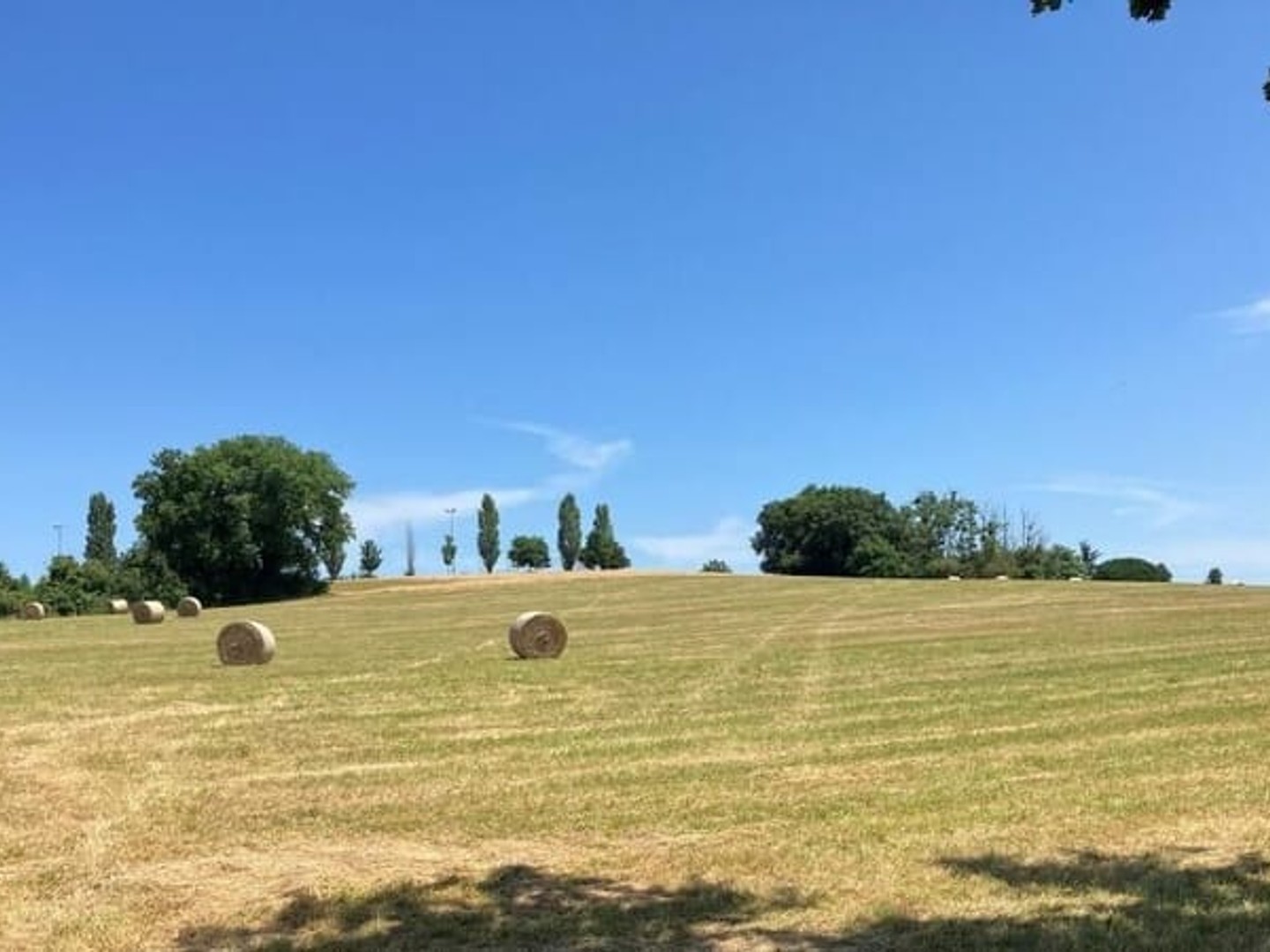 Terrain constructible sur la commune de Sauveterre-de-Guyenne