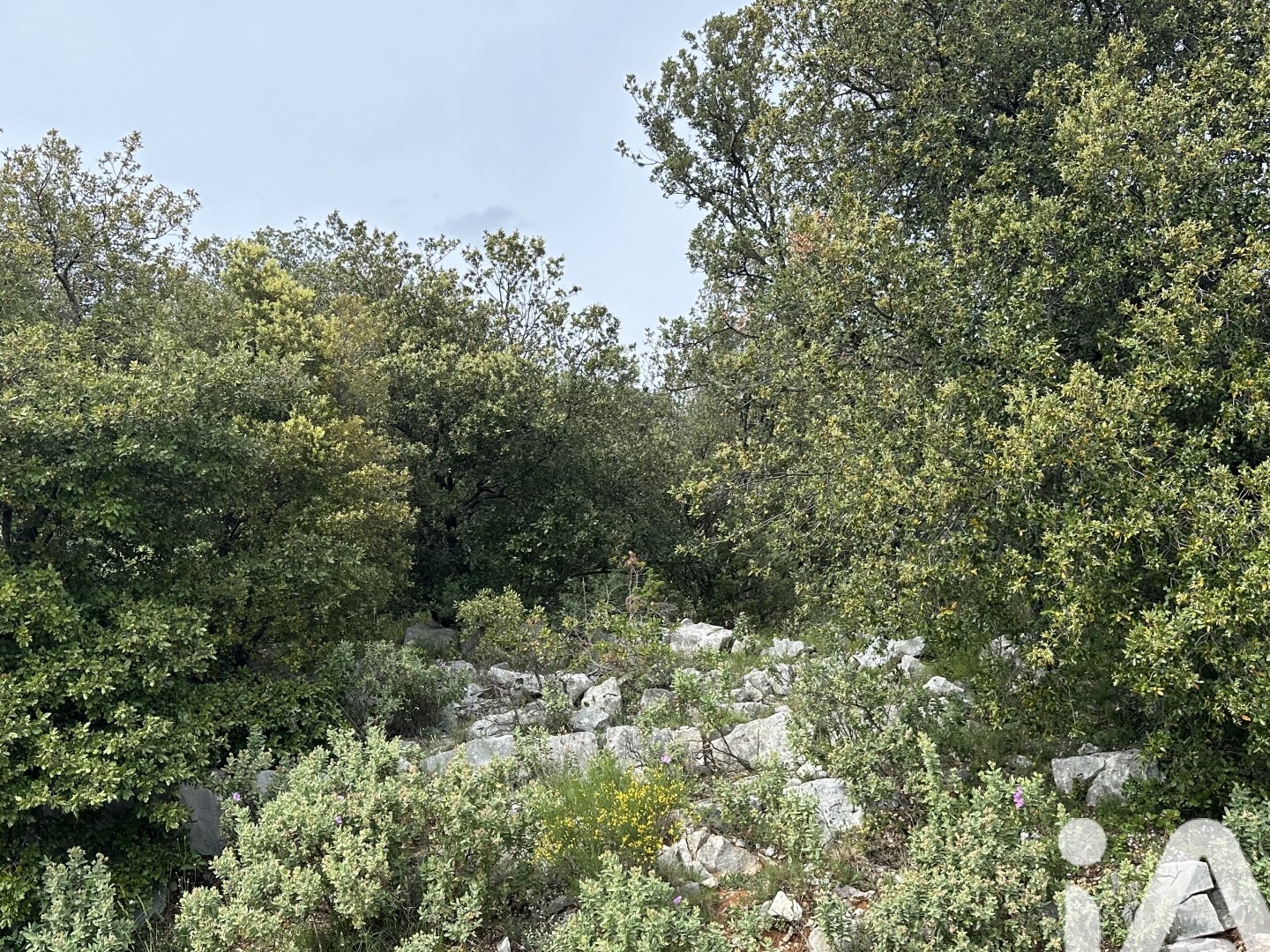 Terrain 2710 m²