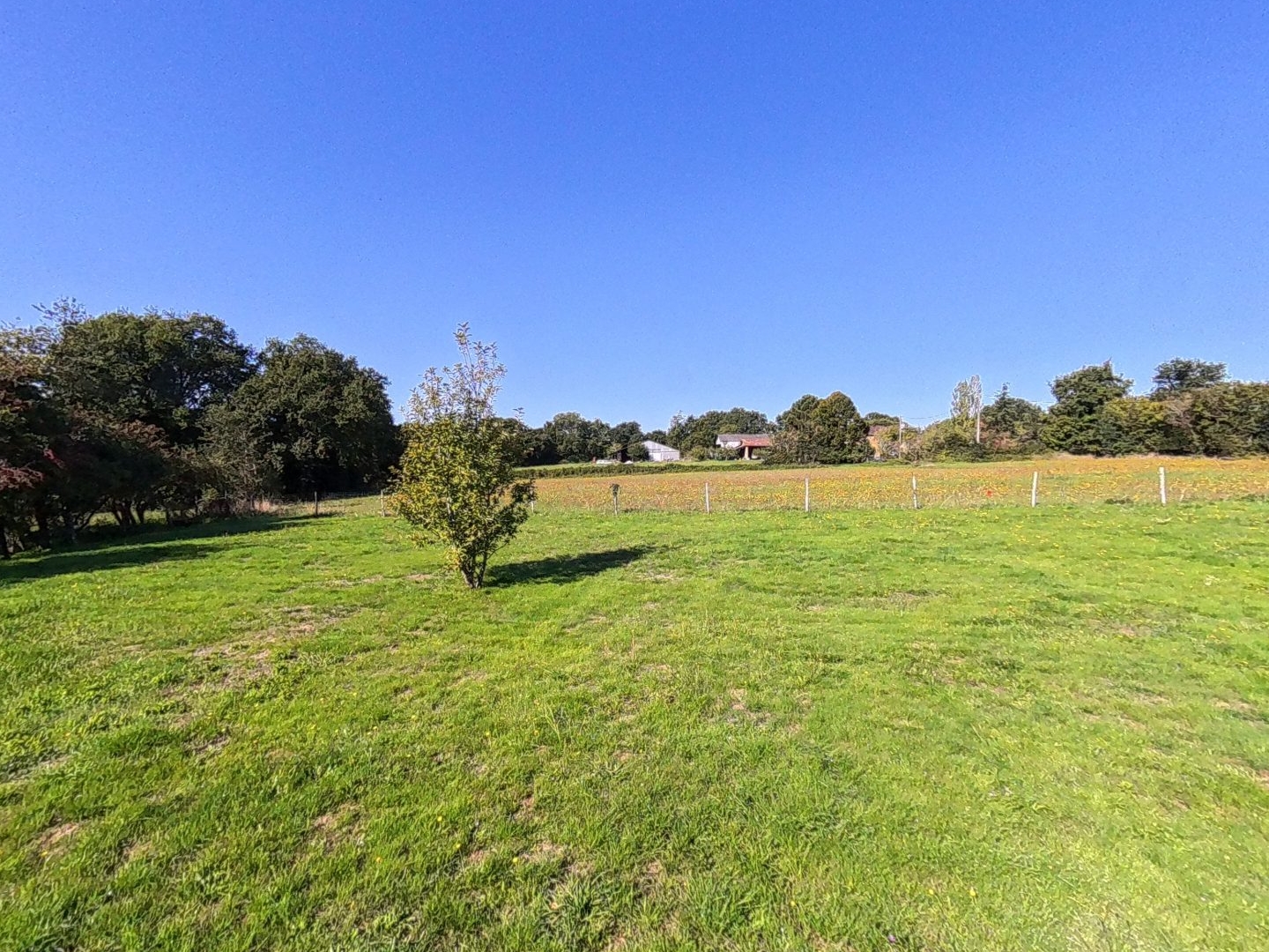 Terrain en individuel 1127 m²