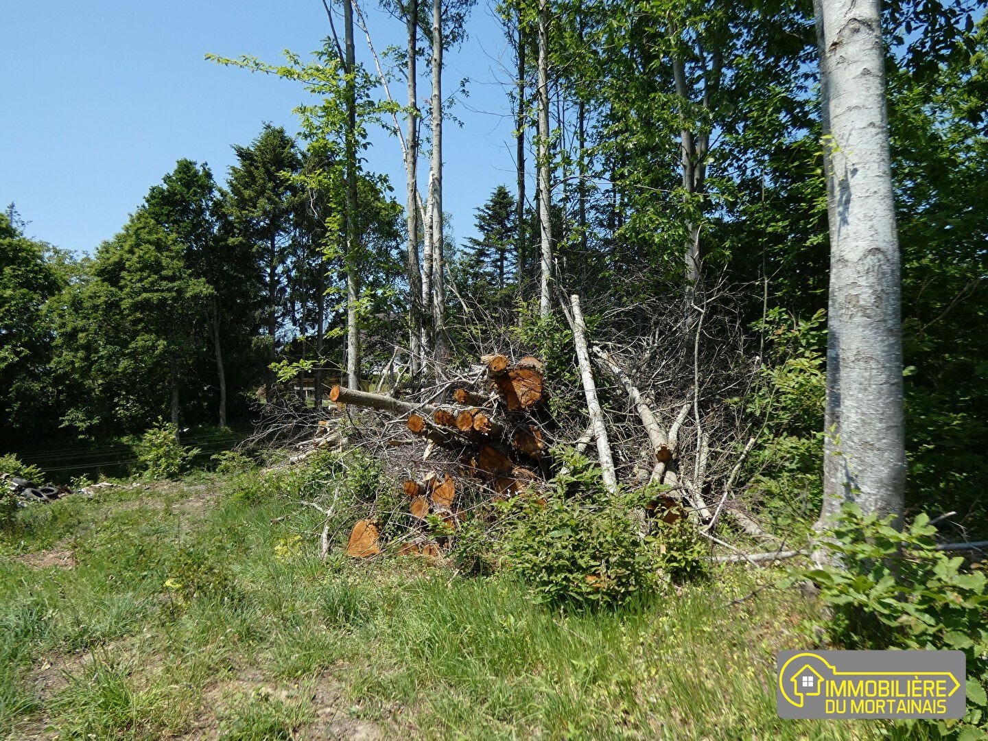 Terrain à vendre - 950m2 - Grandparigny (50600)