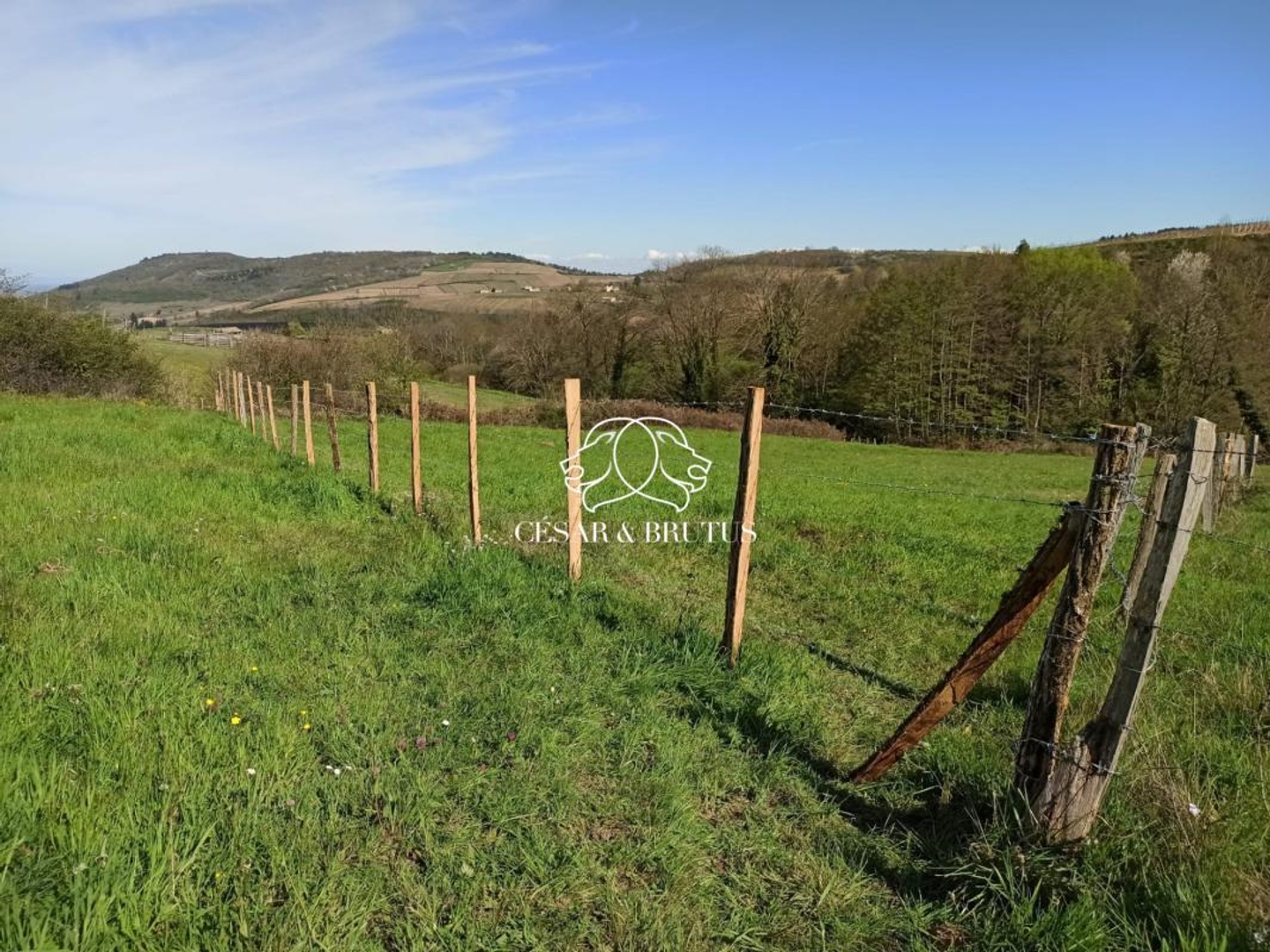 Vends terrain agricole - 4320 m² - Vauxrenard 69820