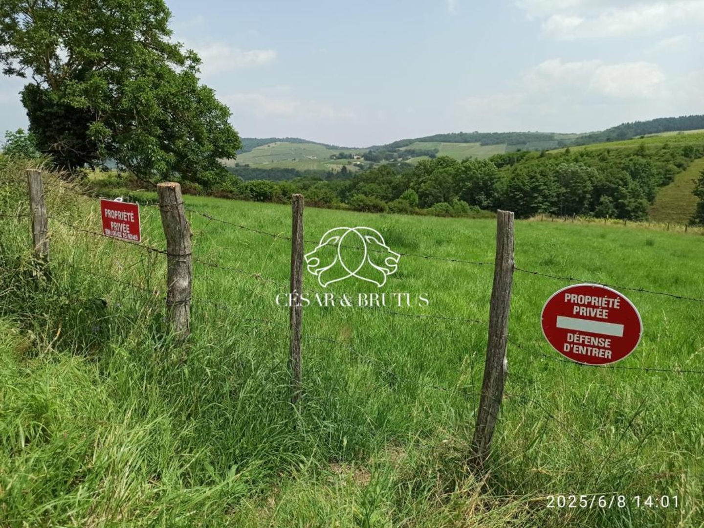 Terrain à vendre - 4320m2 - Fleurie (69820)