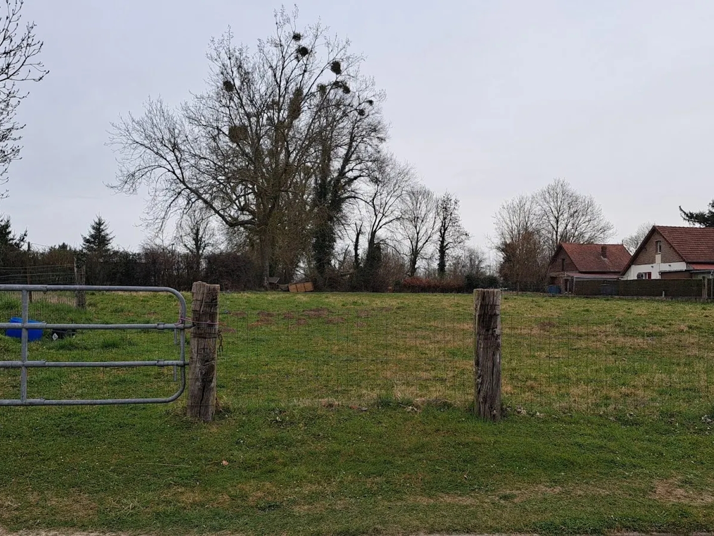 Terrain à vendre - 2353m2 - Cerisy-Buleux (80140)