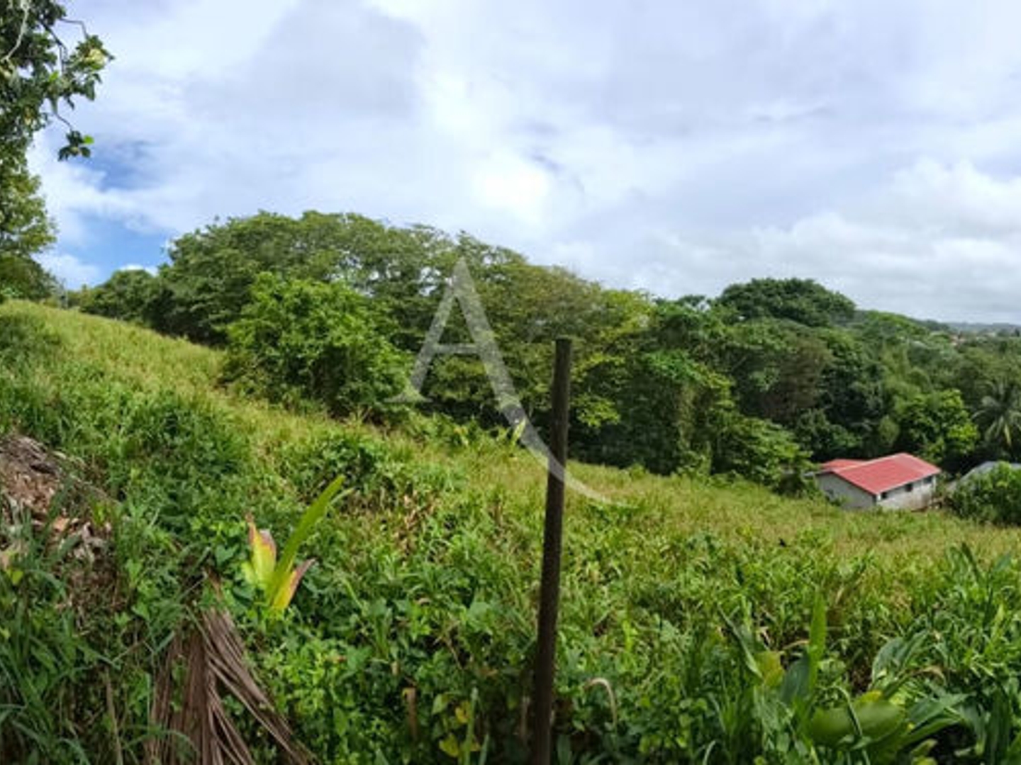 En EXCLUSIVITE: à DUCOS Terrain de 4546 m2