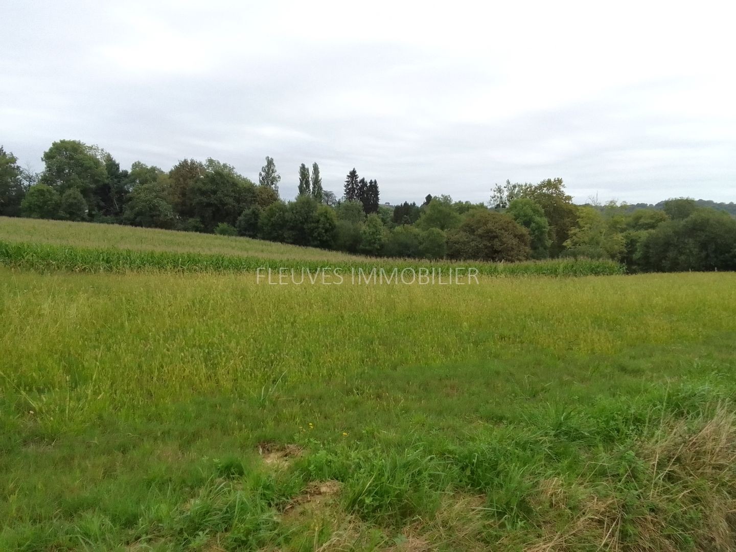 Terrain à vendre - 2000m2 - Navarrenx (64190)