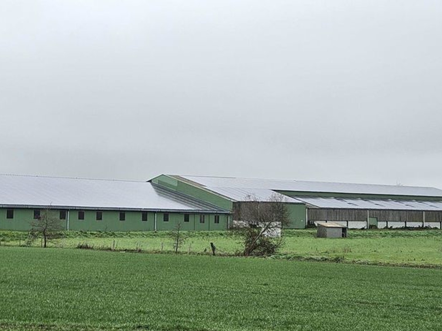 Vente Hangar 4 500 m²