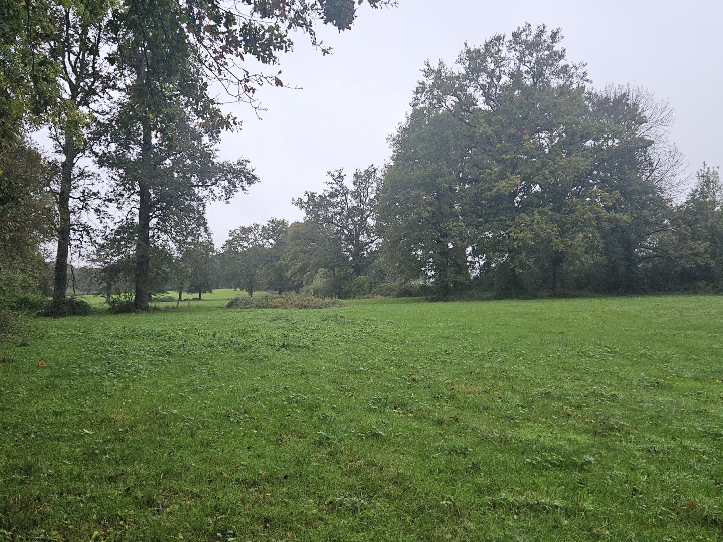 Terrain agricole 7ha