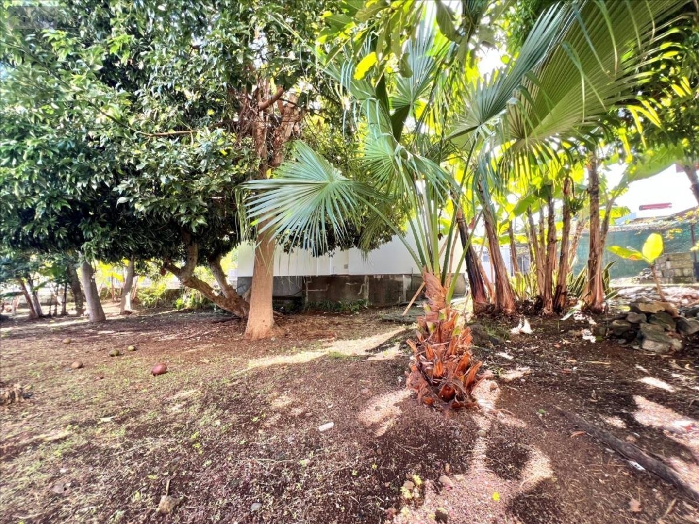 Maison à vendre - 5 pièces - 85m2 - Le Tampon (97430)