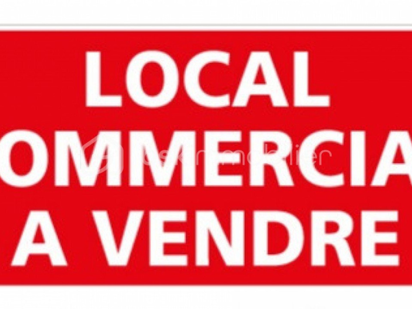 Local 1 pièce 43 m²