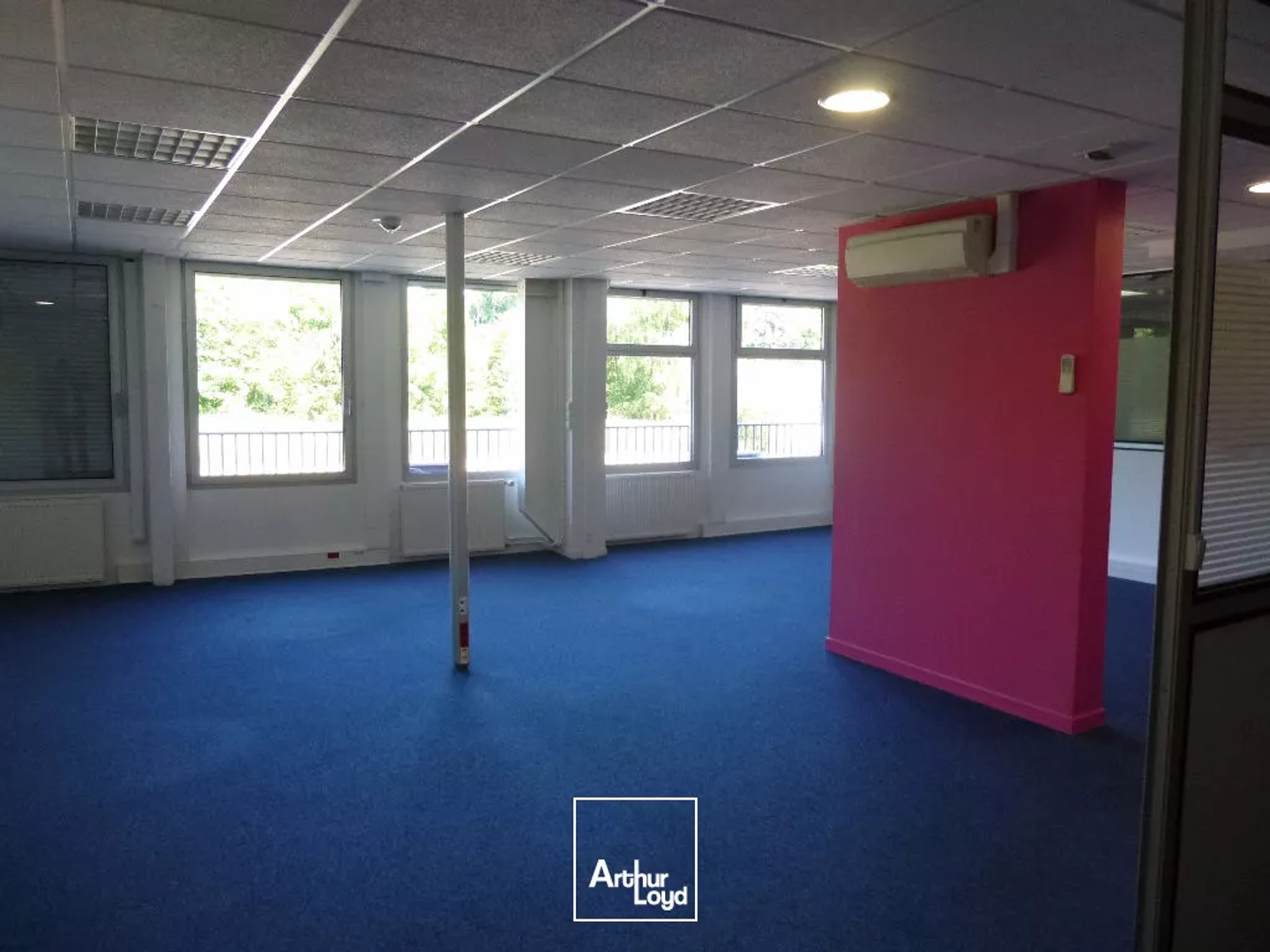 Bureaux à vendre - 1699m2 - Panazol (87350)