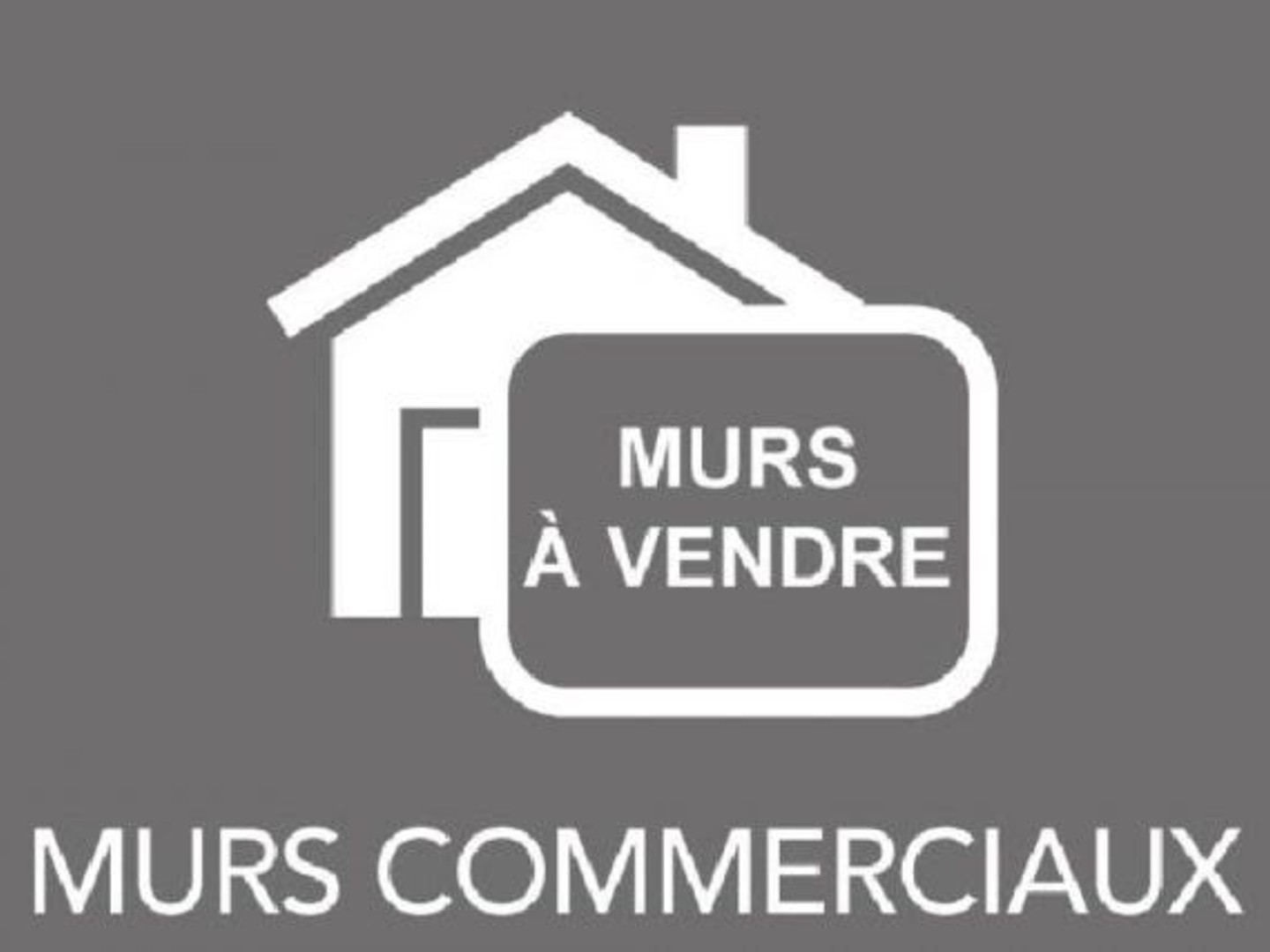 Commerce 52 m²
