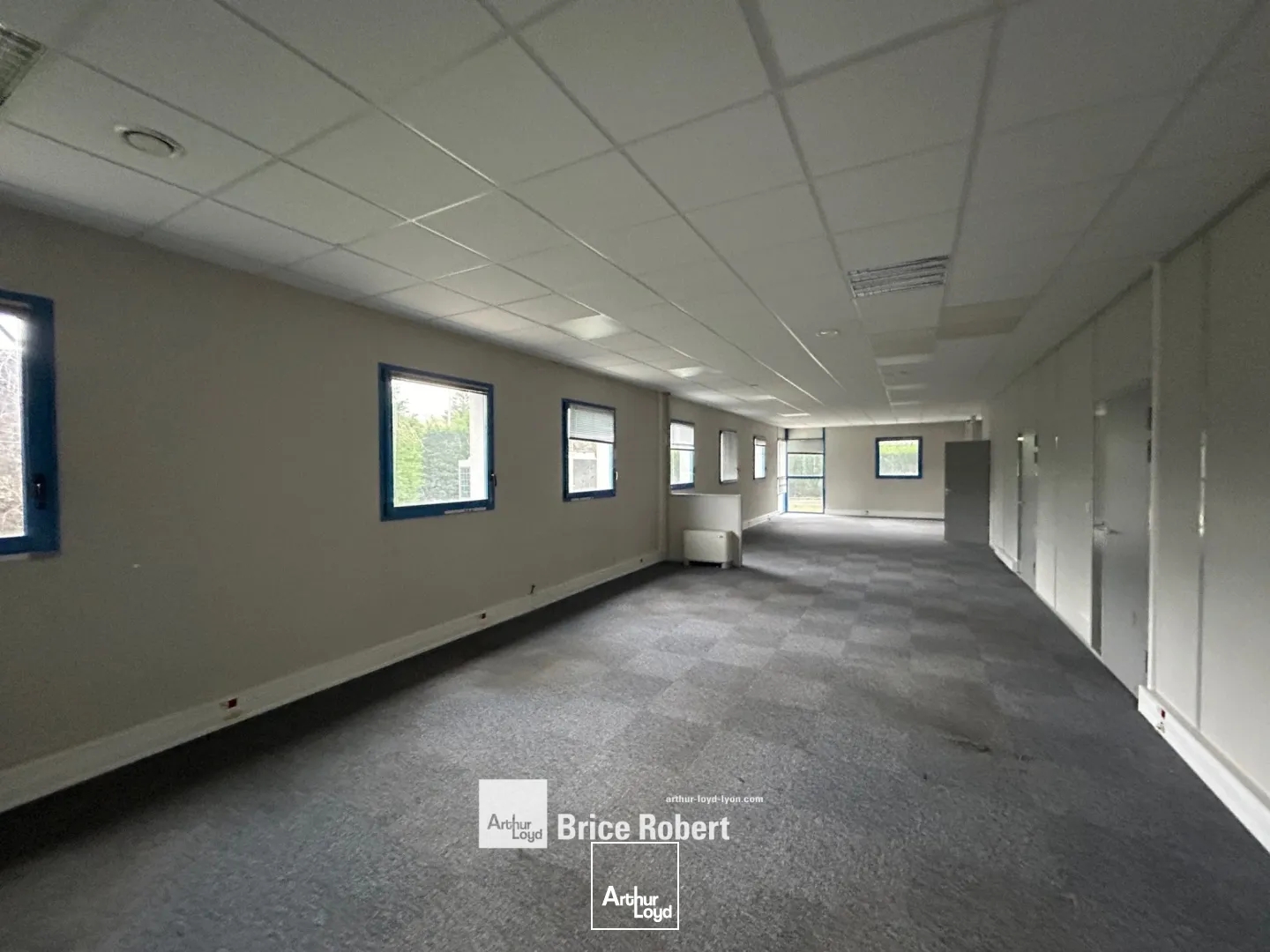 Locaux à vendre - 5468m2 - Civrieux-D'azergues (69380)