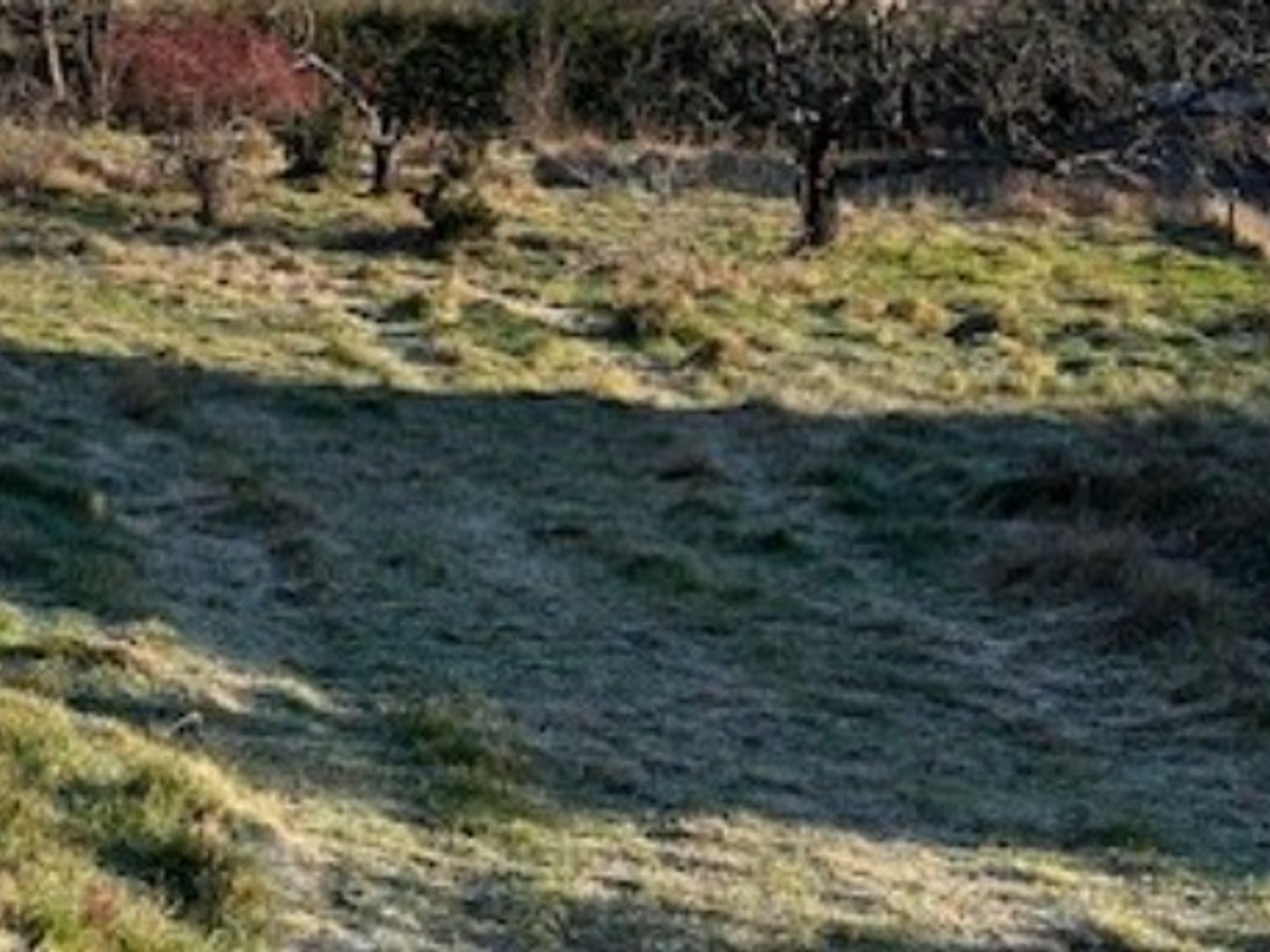 TERRAIN A DAVEZIEUX