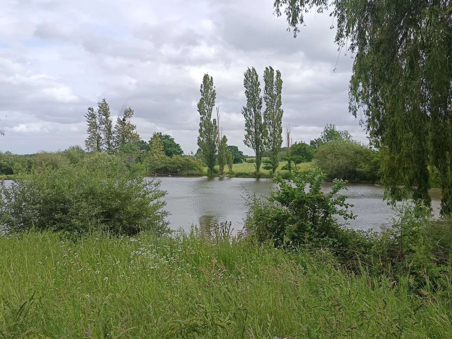 Terrain 39989 m²